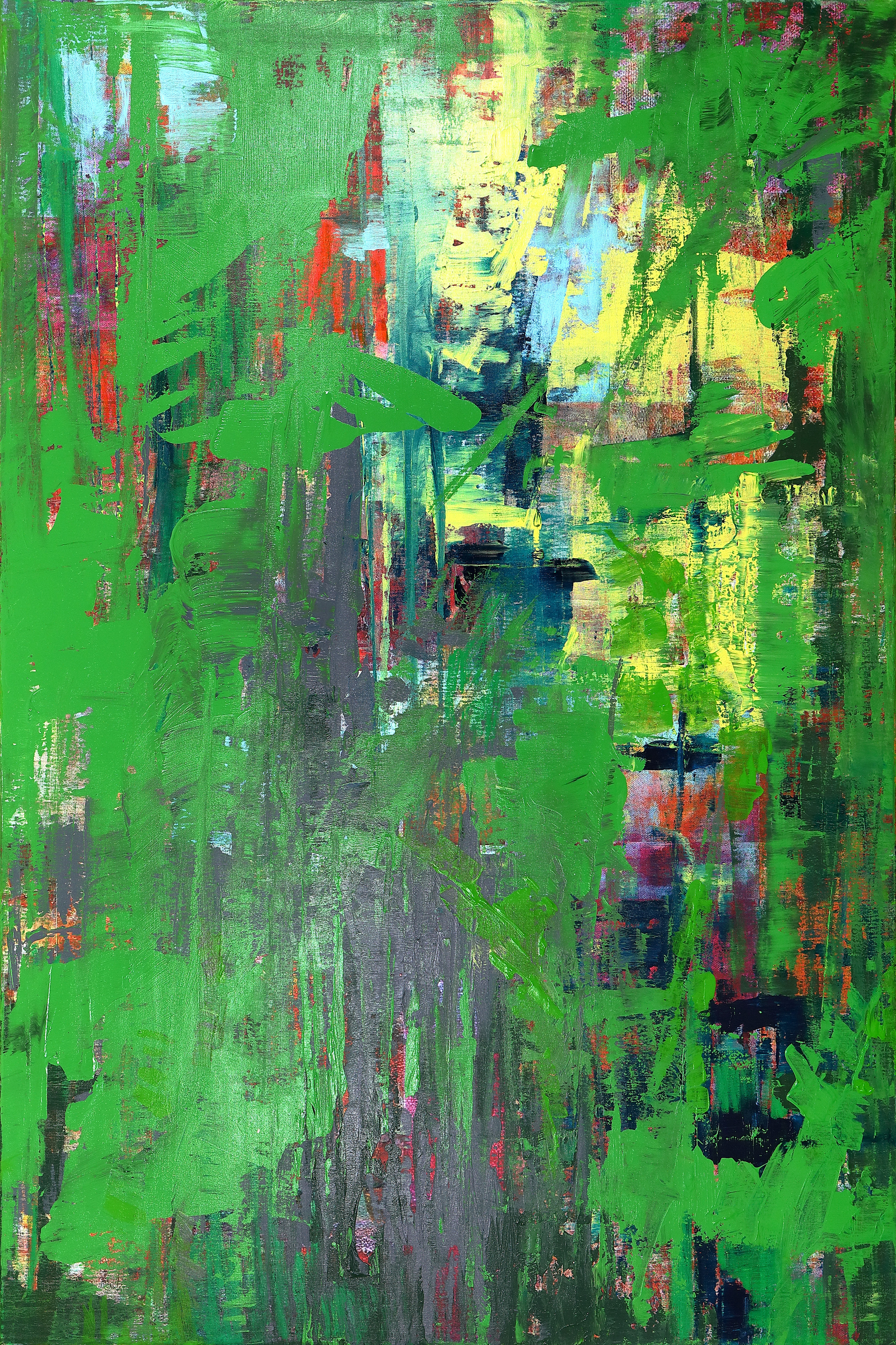 Rainforest