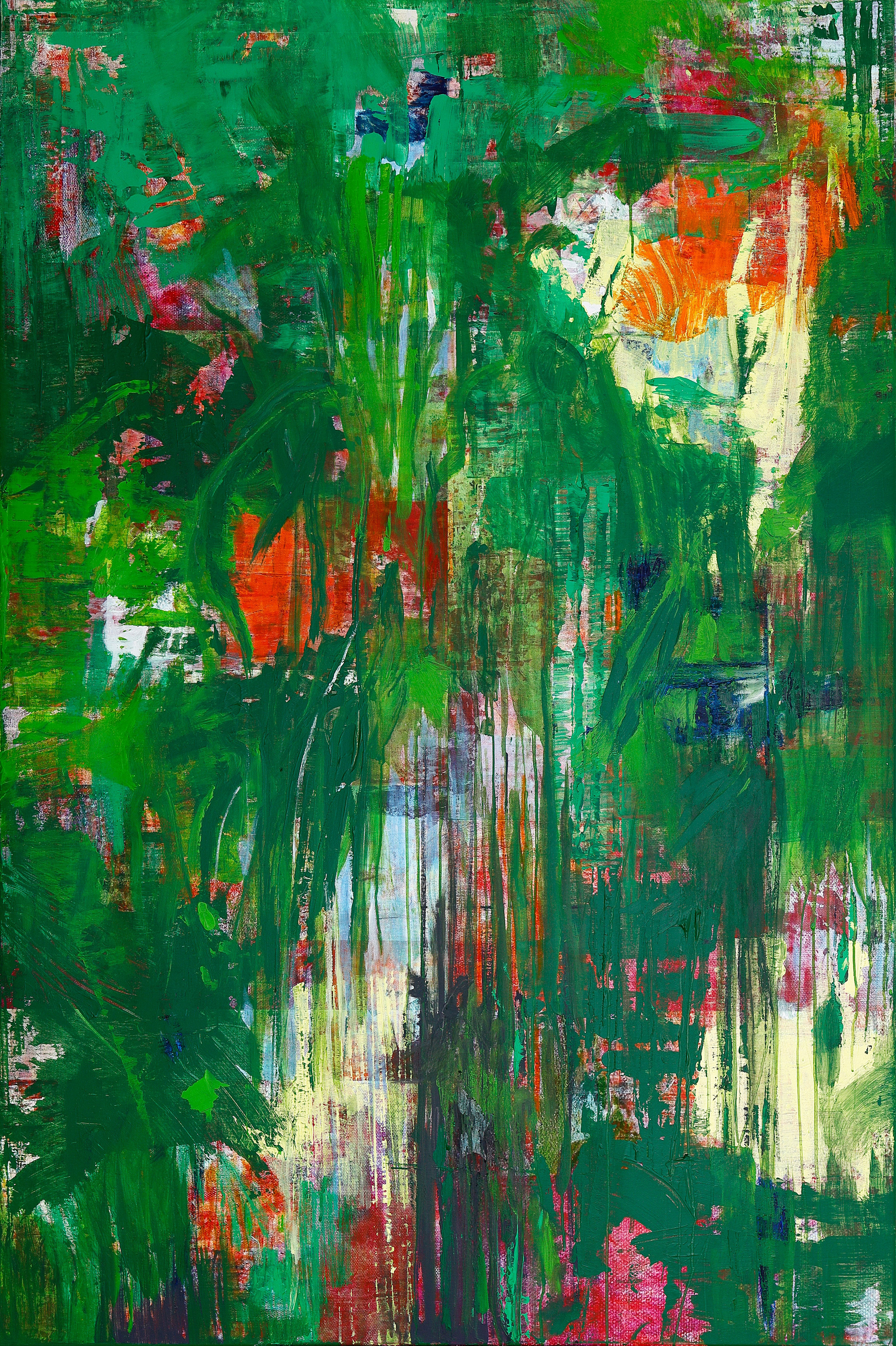 Virgin Forest